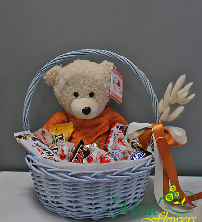Basket from Bear No.1 photo 394x433